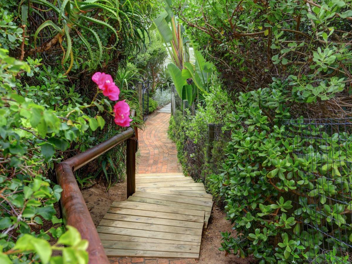Riverview Wilderness Luaran gambar
